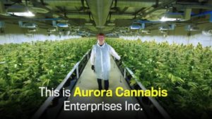 Cannabis Corporations